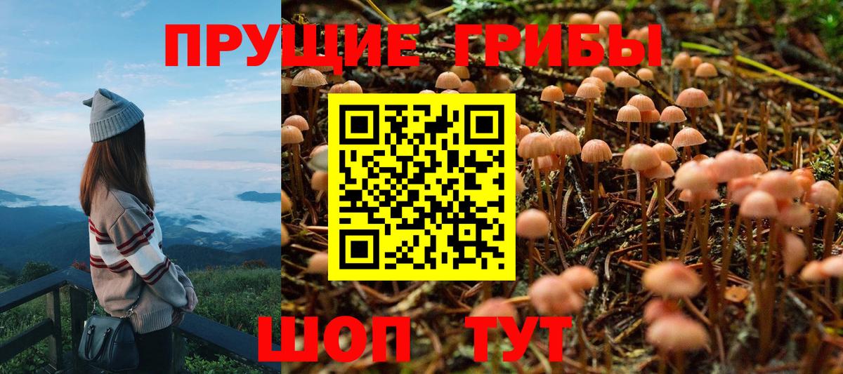 Галлюциногенные грибы Psilocybe  Псилоцибиновые грибы Magic Shrooms  купить закладку  Татарск  Вход с VPN 