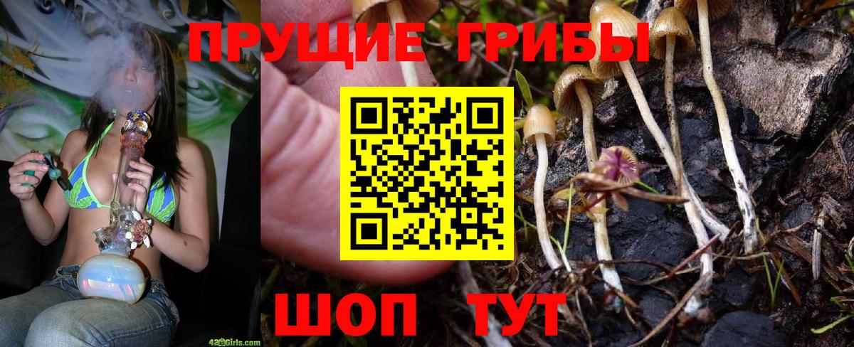 Галлюциногенные грибы Magic Shrooms Татарск